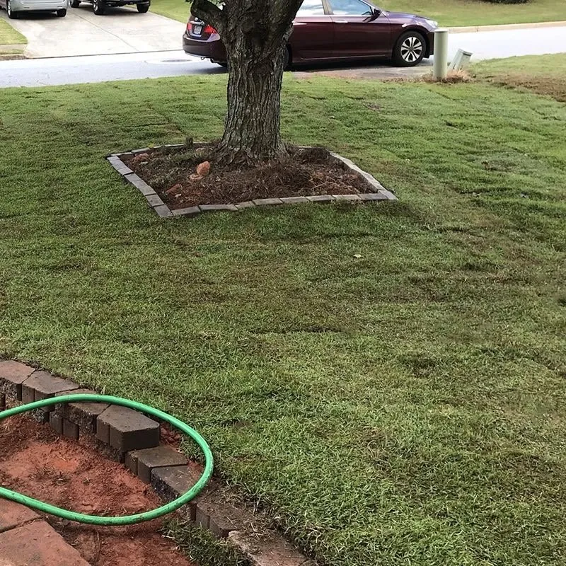 Affordable landscaping services experts serving Tampa Bay, FL - Martinez Landscaping & Lawn Care Services