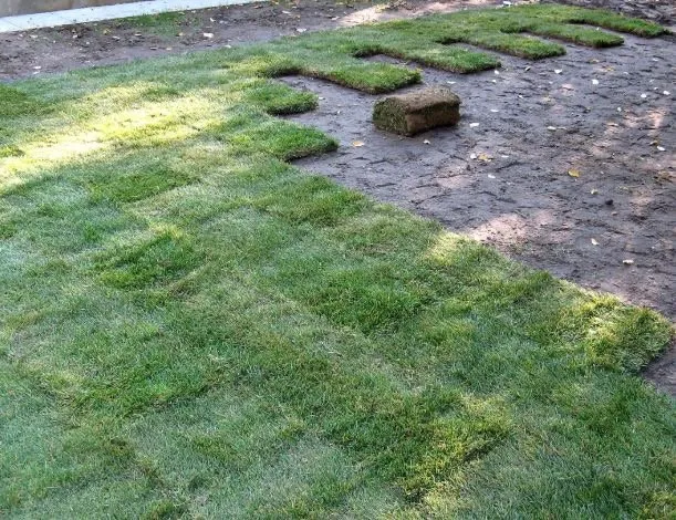 Trusted outdoor landscaping in Tampa Bay, FL by Martinez Landscaping & Lawn Care Services