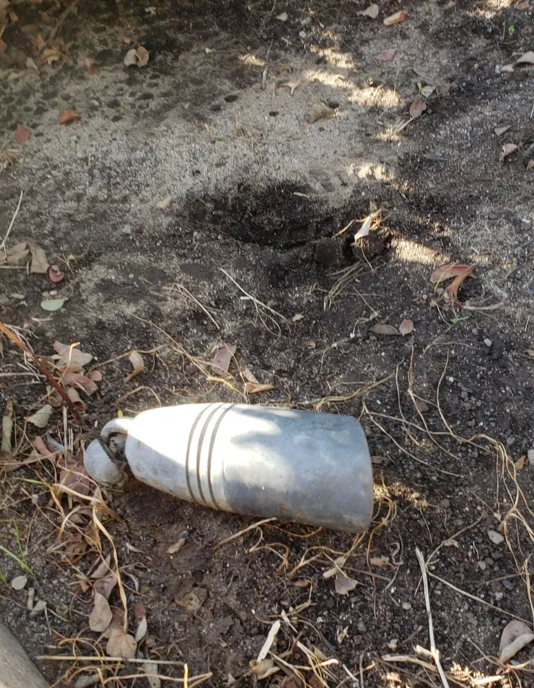 Affordable yard maintenance near you in Fresno, CA by Martinez Landscaping & Lawn Service