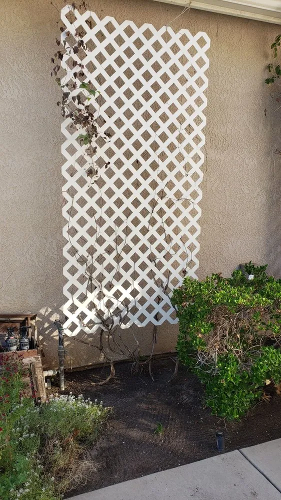 Custom yard cleanup service in Fresno, CA - Martinez Landscaping & Lawn Service