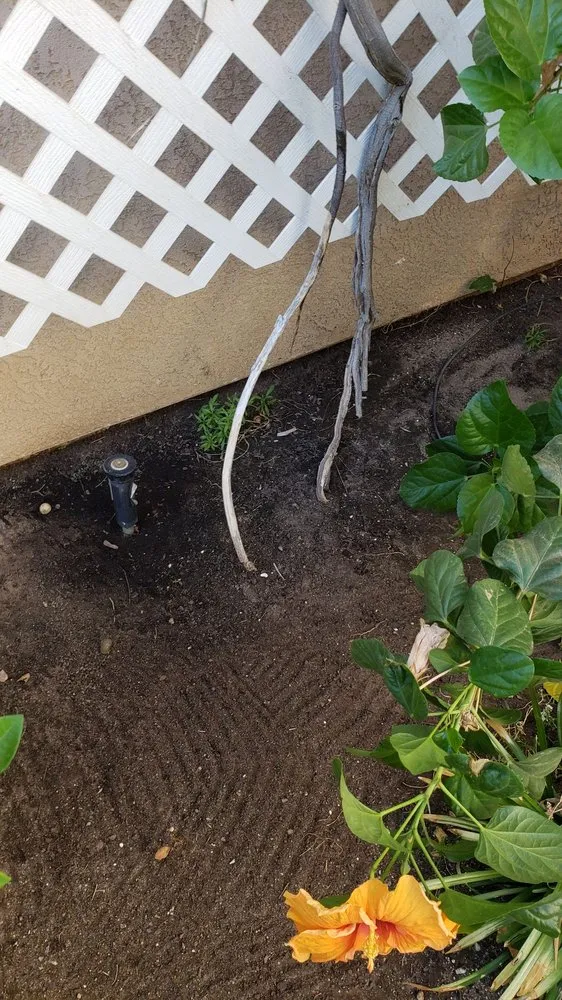 Trusted landscape installation for homes across Fresno, CA - Martinez Landscaping & Lawn Service