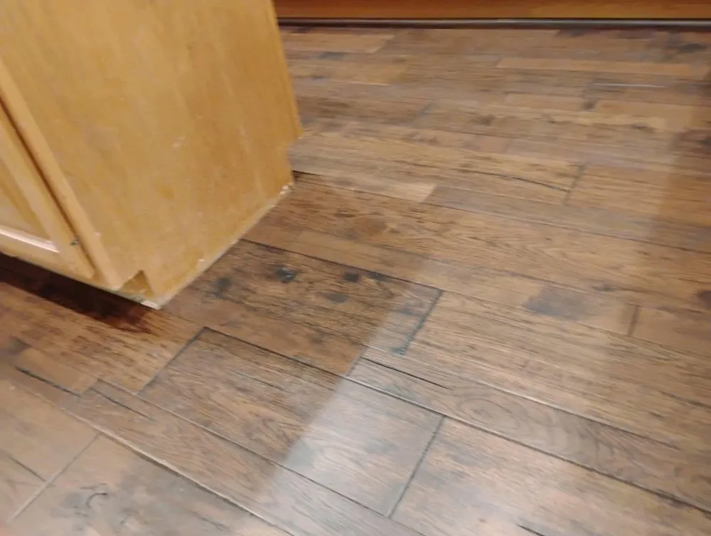 Top-rated landscaping services for year-round maintenance across Cleveland, TX - Martinez Landscaping & Repair