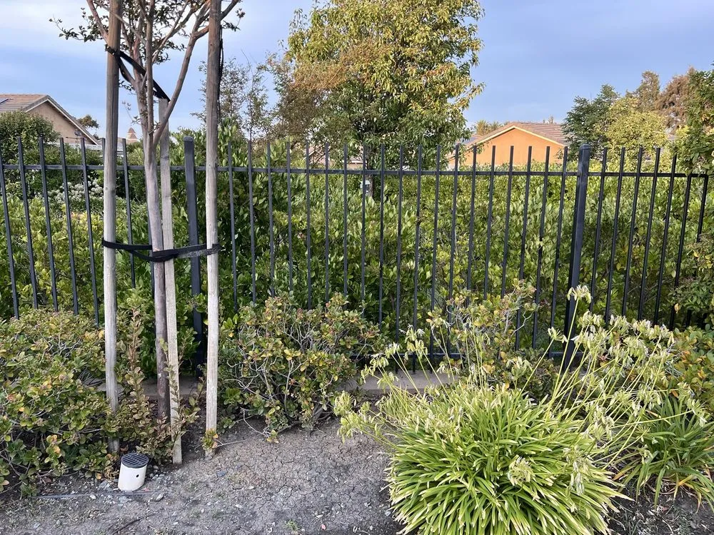 Custom garden landscaping in Pittsburg, CA by Martinez Landscaping & Tree Service