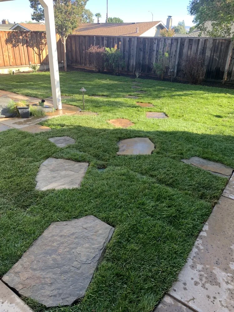 Affordable yard cleanup service in Pittsburg, CA by Martinez Landscaping & Tree Service