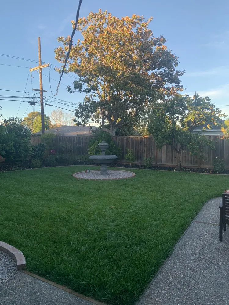 Reliable residential landscaping experts serving Pittsburg, CA - Martinez Landscaping & Tree Service