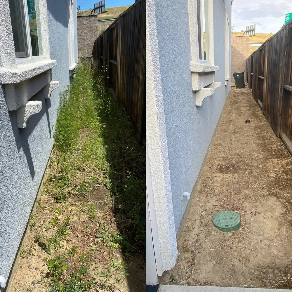 Reliable yard maintenance experts serving Pittsburg, CA - Martinez Landscaping & Tree Service