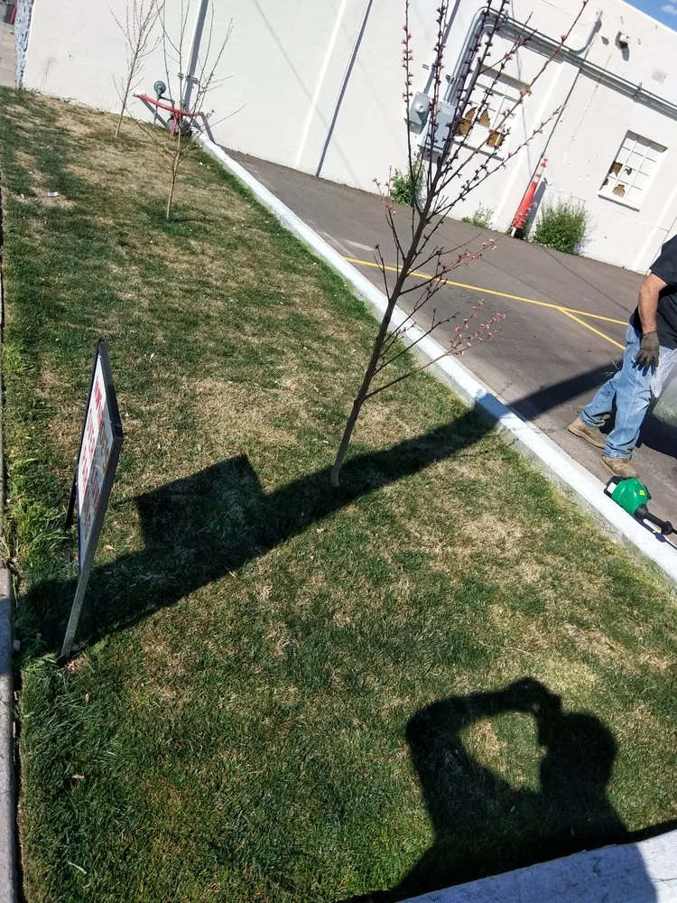 Custom yard maintenance in Albuquerque, NM by Martinez landscaping