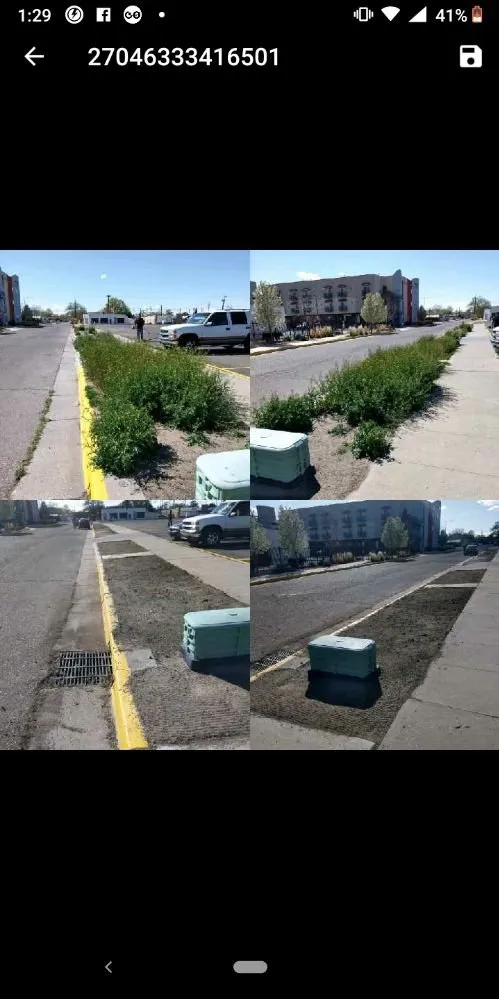 Expert yard cleanup service near you in Albuquerque, NM by Martinez landscaping