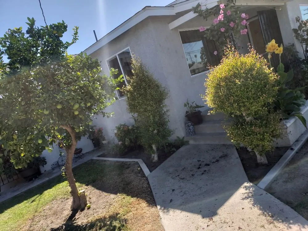 Reliable yard cleanup service in Anaheim, CA - Martinez Landscaping