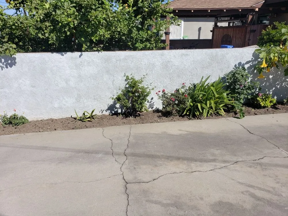 Professional landscaping services experts serving Anaheim, CA - Martinez Landscaping