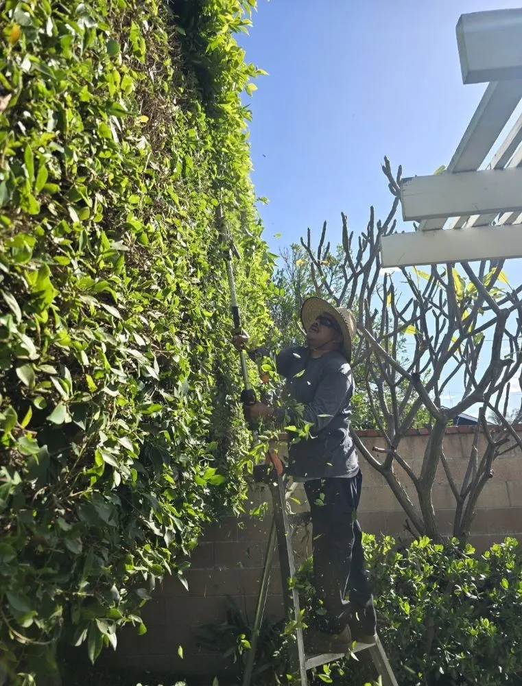 Local garden landscaping in Anaheim, CA - Martinez Landscaping