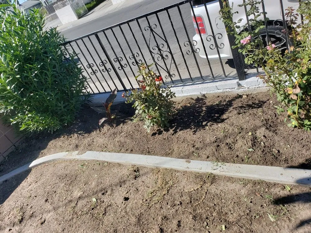 Trusted residential landscaping near you across Anaheim, CA - Martinez Landscaping