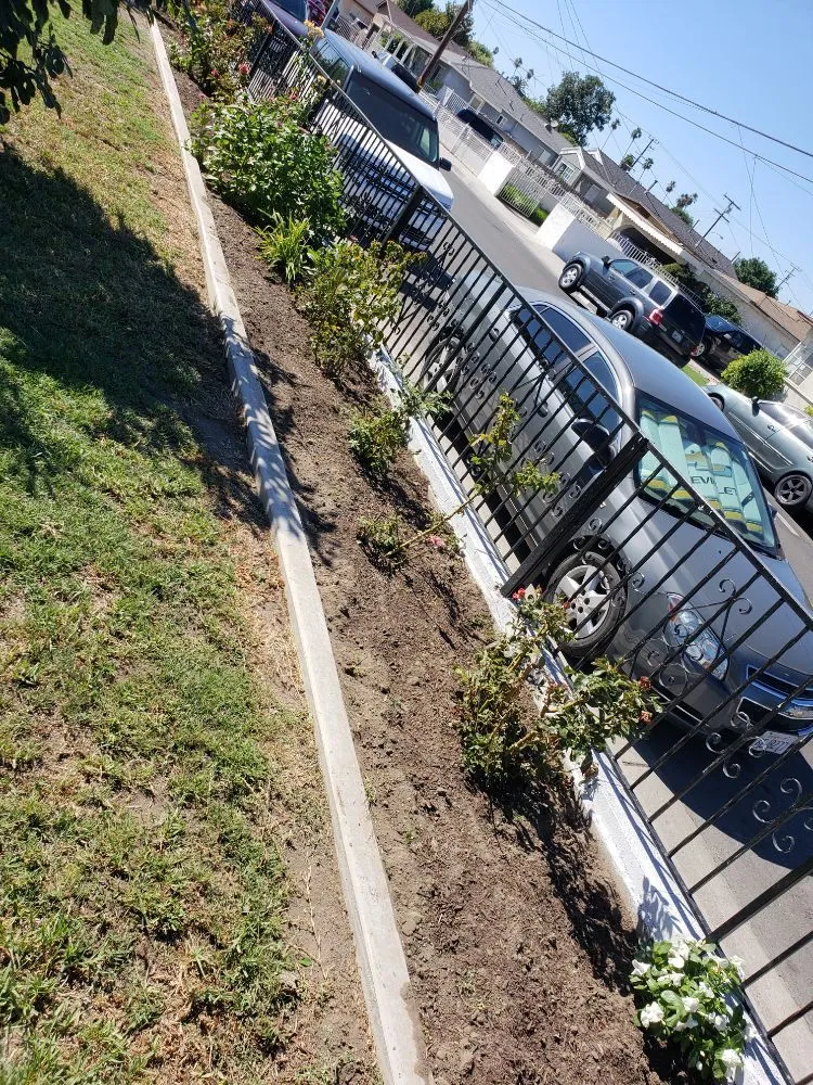 Affordable lawn care service in Anaheim, CA - Martinez Landscaping