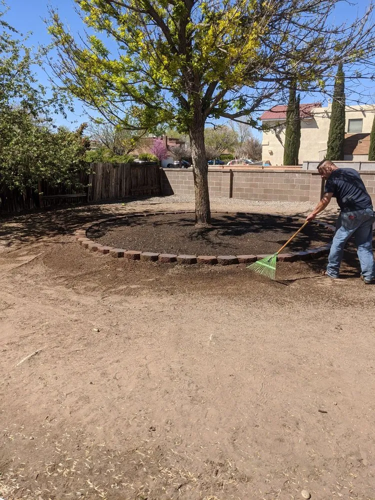 Expert yard maintenance for year-round maintenance across Albuquerque, NM - Martinez Landscaping and Contruction