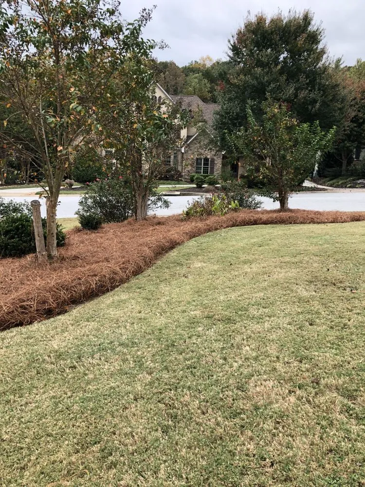 Expert yard maintenance for outdoor upgrades in Summerville, SC by Martinez Landscaping and Pine Straw Service