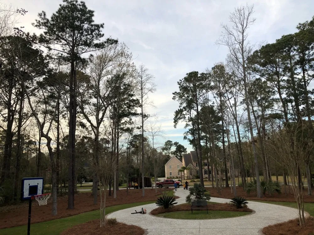 Affordable lawn care service in Summerville, SC by Martinez Landscaping and Pine Straw Service