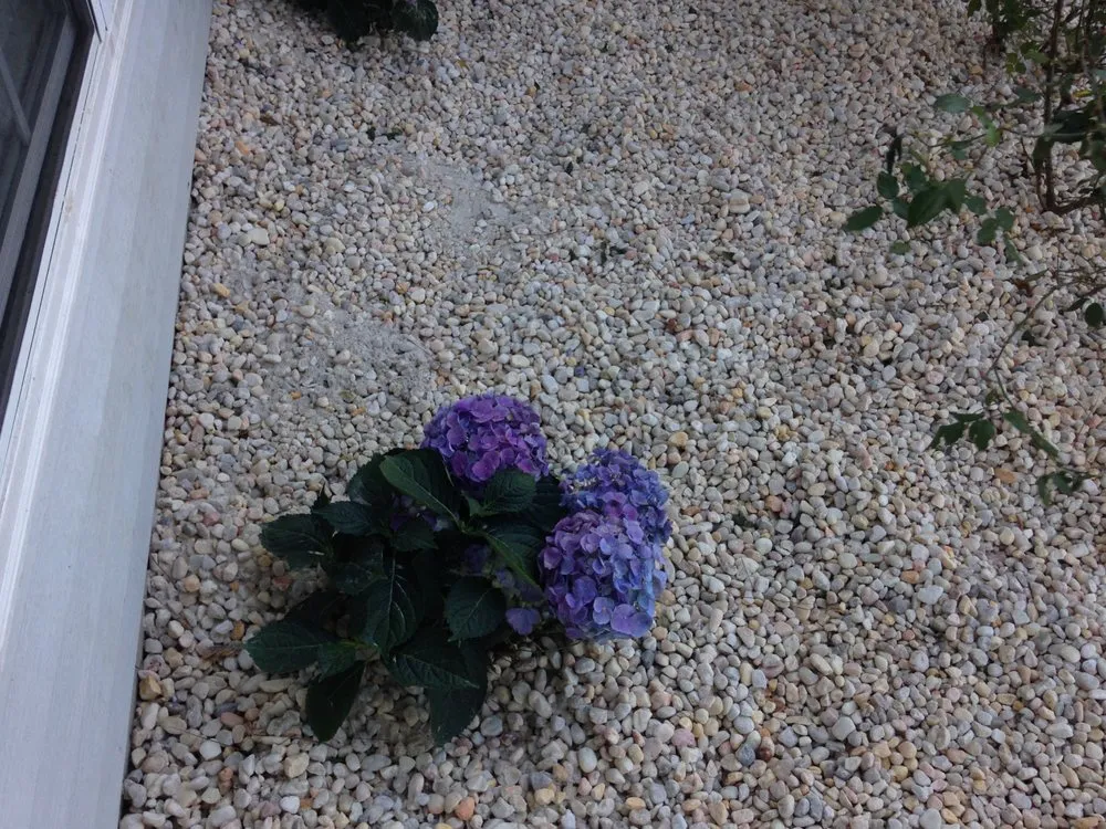 Reliable landscape design with custom design across Summerville, SC - Martinez Landscaping and Pine Straw Service