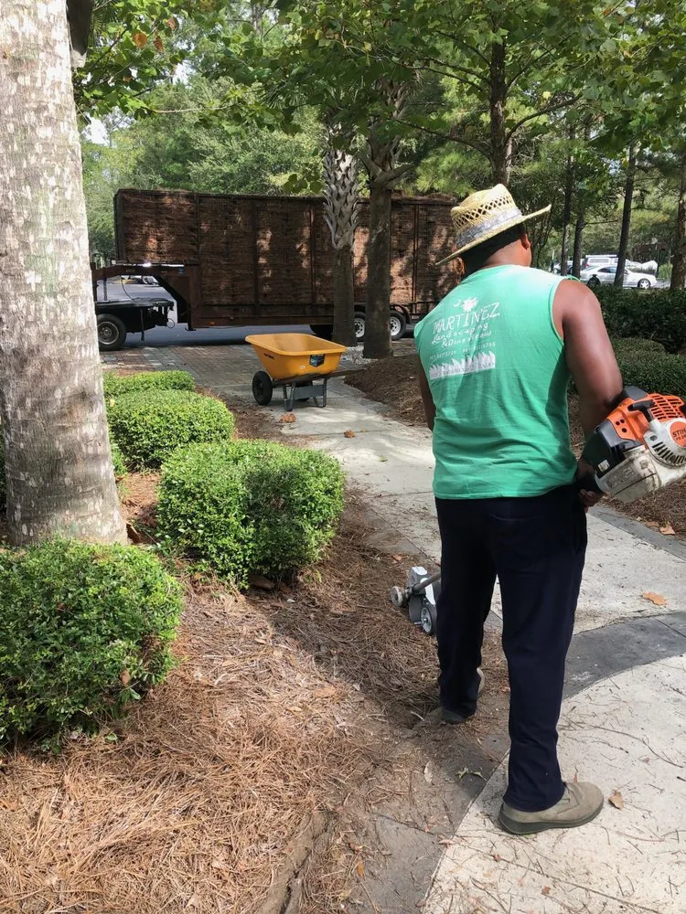 Custom landscape installation in Summerville, SC by Martinez Landscaping and Pine Straw Service