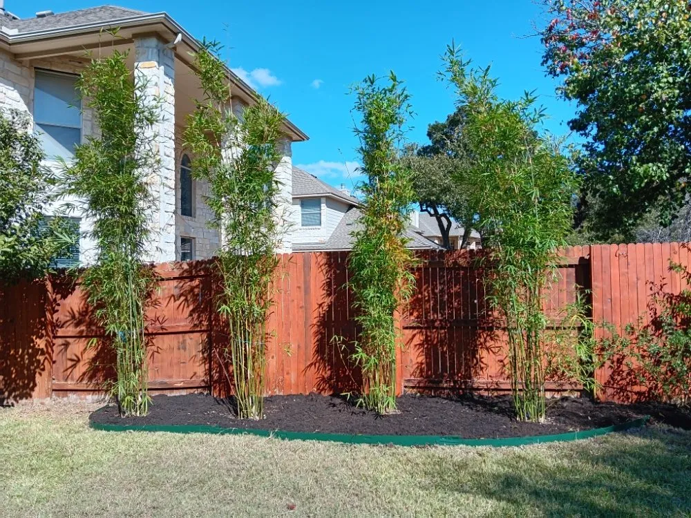 Reliable yard maintenance for beautiful yards across Round Rock, TX - Martinez Landscaping And Sprinklers System