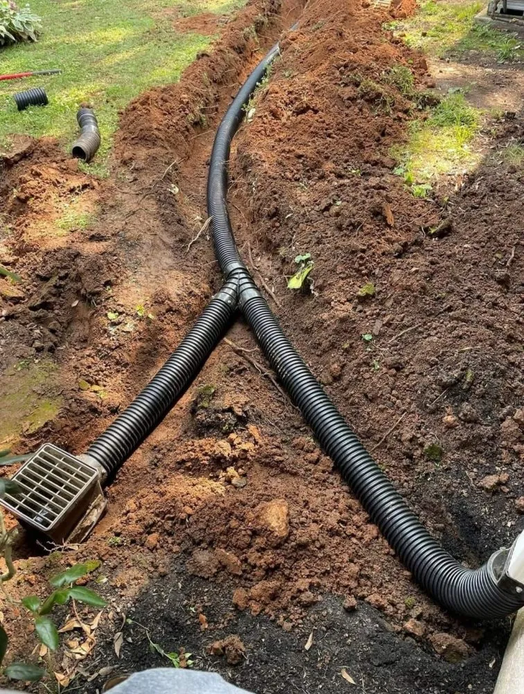 Expert yard cleanup service in Round Rock, TX by Martinez Landscaping And Sprinklers System