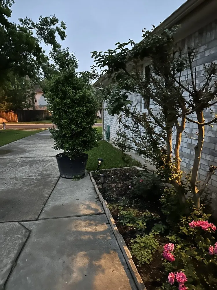 Top-rated landscape design near you in Round Rock, TX by Martinez Landscaping And Sprinklers System