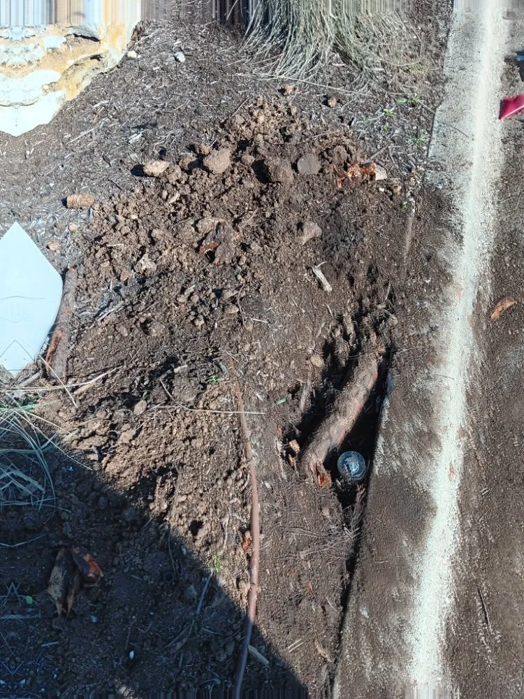 Professional garden landscaping experts serving Round Rock, TX - Martinez Landscaping And Sprinklers System