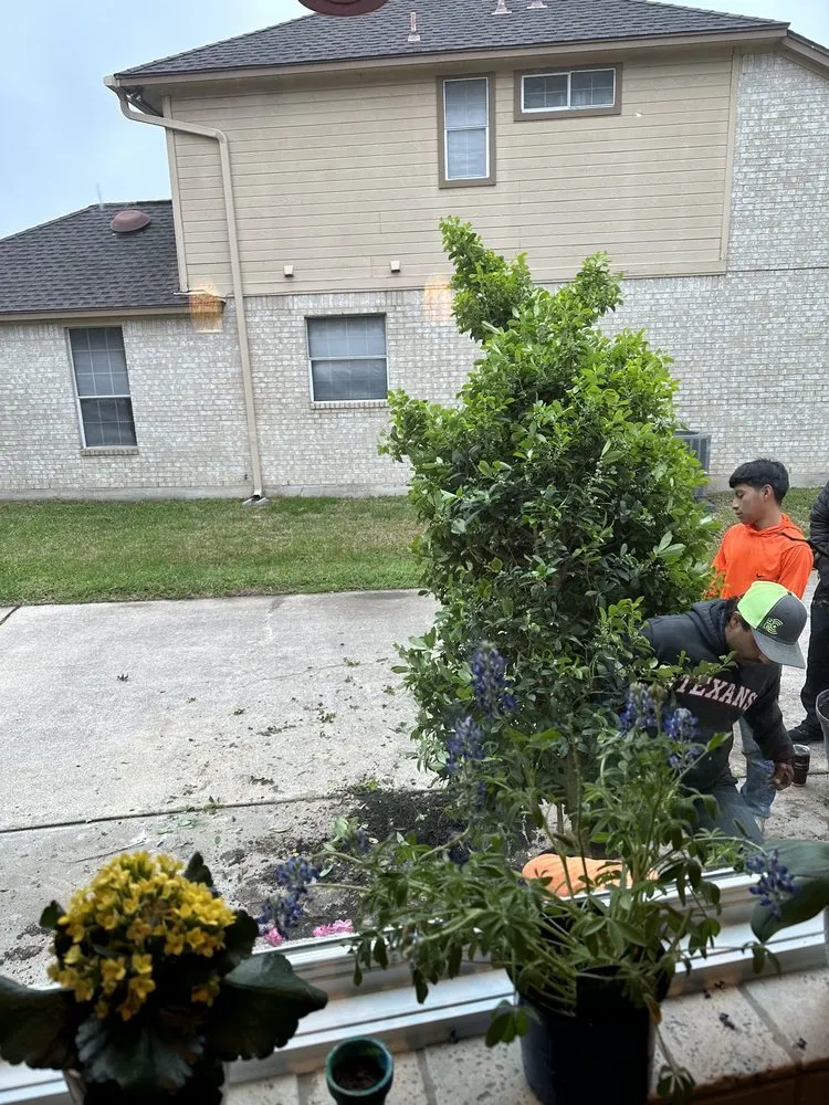 Affordable lawn mowing service experts serving Round Rock, TX - Martinez Landscaping And Sprinklers System