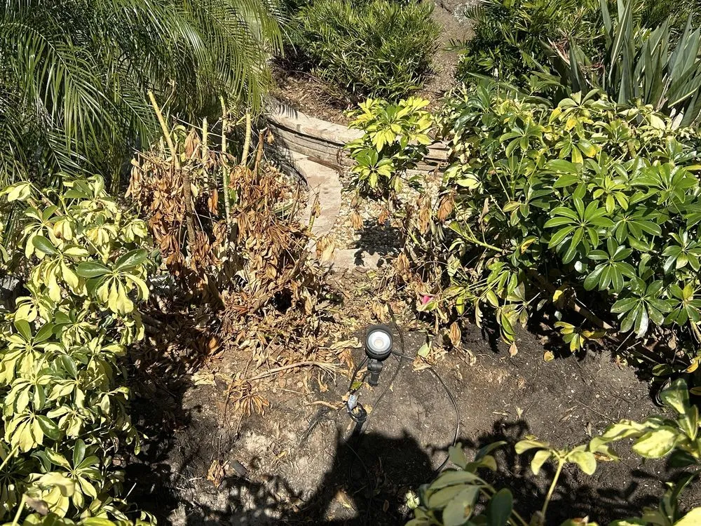 Expert landscape design experts serving Lady Lake, FL - Martinez Landscaping And Tree Service