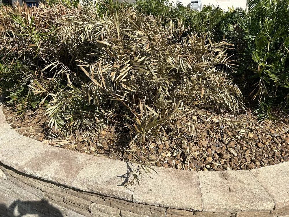 Custom landscape installation with custom design across Lady Lake, FL - Martinez Landscaping And Tree Service