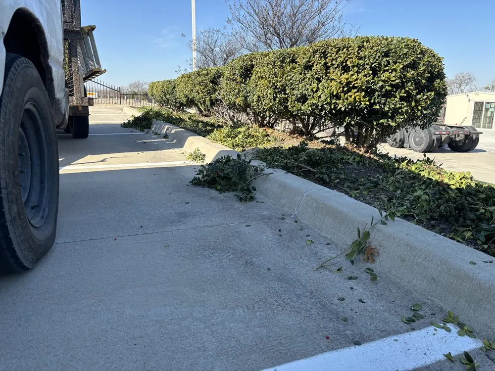 Reliable landscape installation in Mesquite, TX - Martinez Landscaping and Tree Service