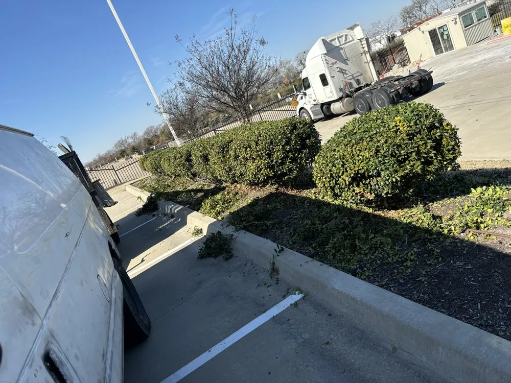 Trusted landscape design experts serving Mesquite, TX - Martinez Landscaping and Tree Service