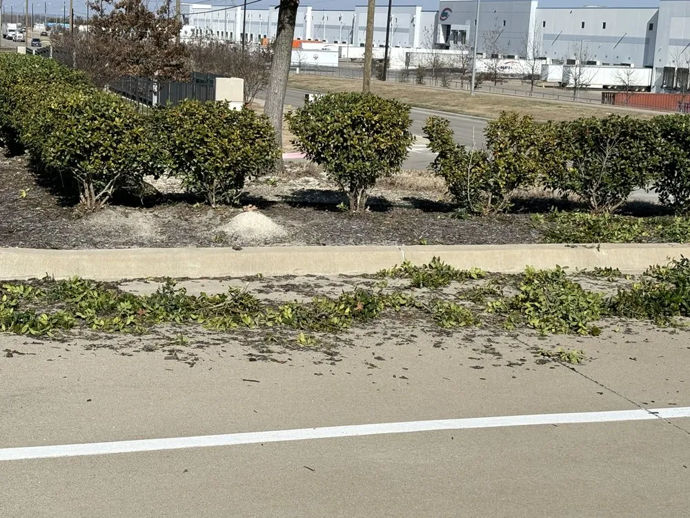 Top-rated yard maintenance for homes in Mesquite, TX by Martinez Landscaping and Tree Service