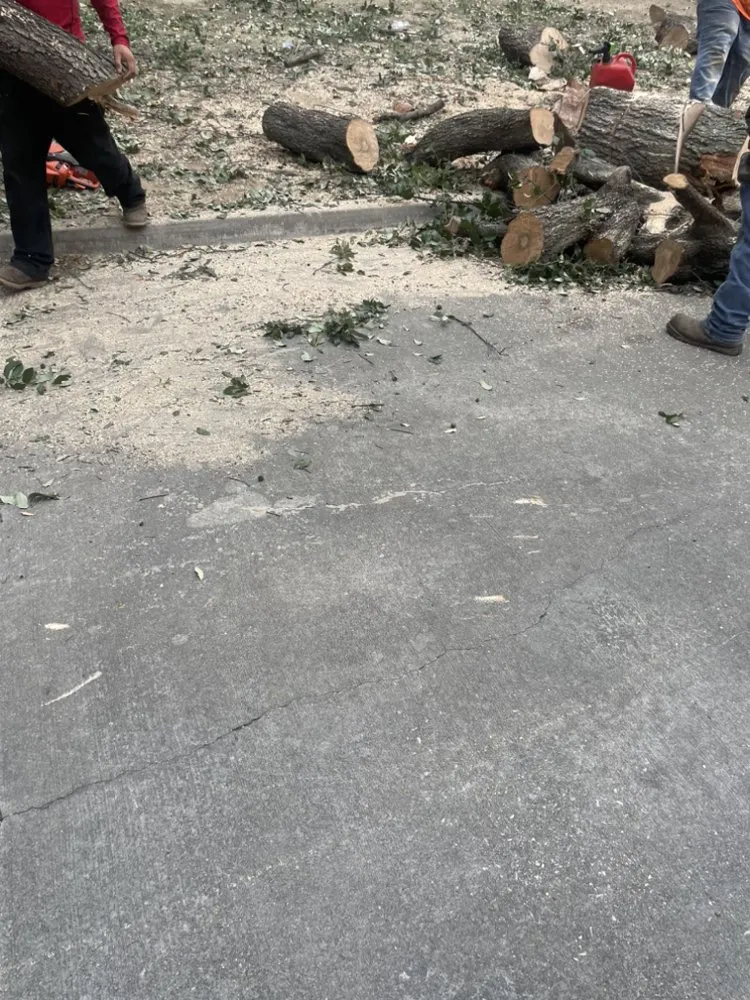 Affordable yard maintenance experts serving Mesquite, TX - Martinez Landscaping and Tree Service