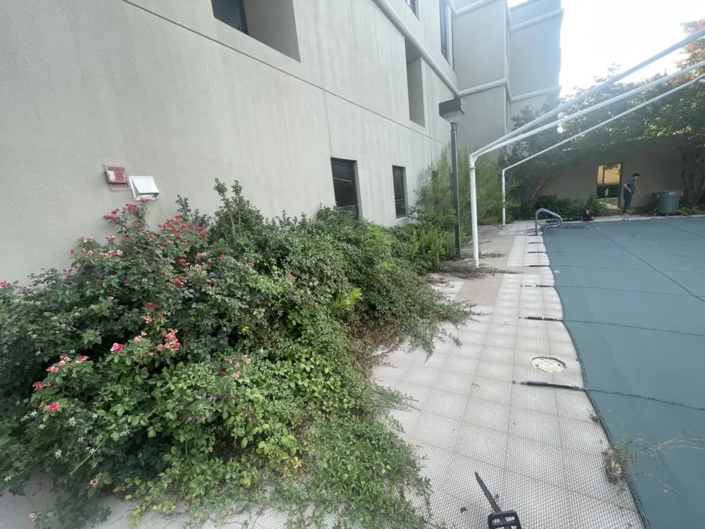 Top-rated residential landscaping experts serving Mesquite, TX - Martinez Landscaping and Tree Service