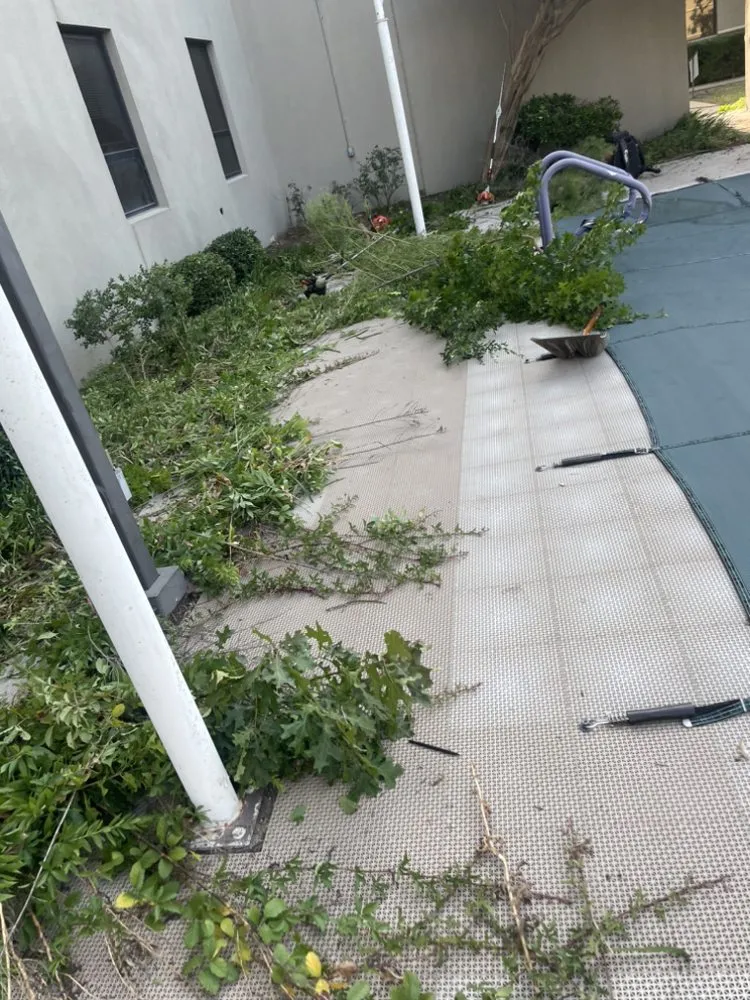 Affordable lawn care service experts serving Mesquite, TX - Martinez Landscaping and Tree Service