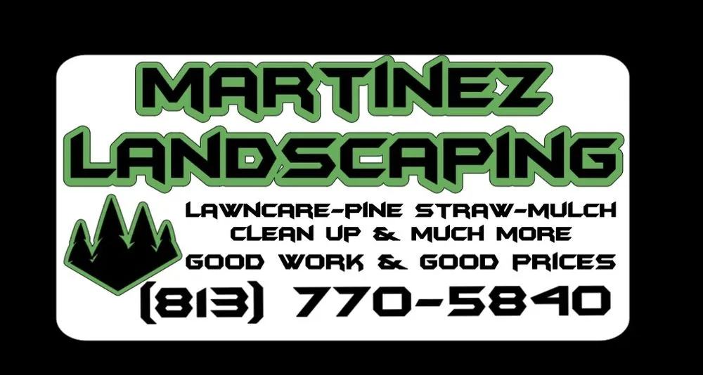 Expert yard cleanup service in Byron, GA by Martinez Landscaping