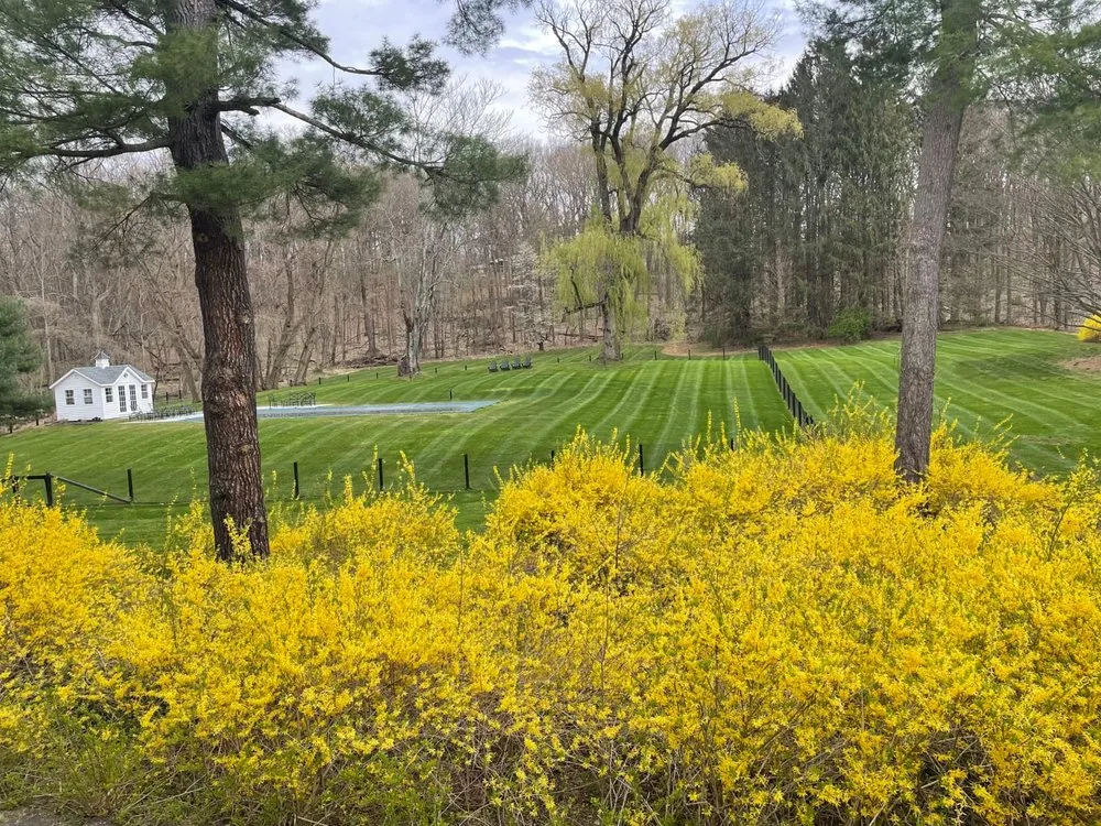 Local yard maintenance in Cleveland, TX - Martinez Landscaping