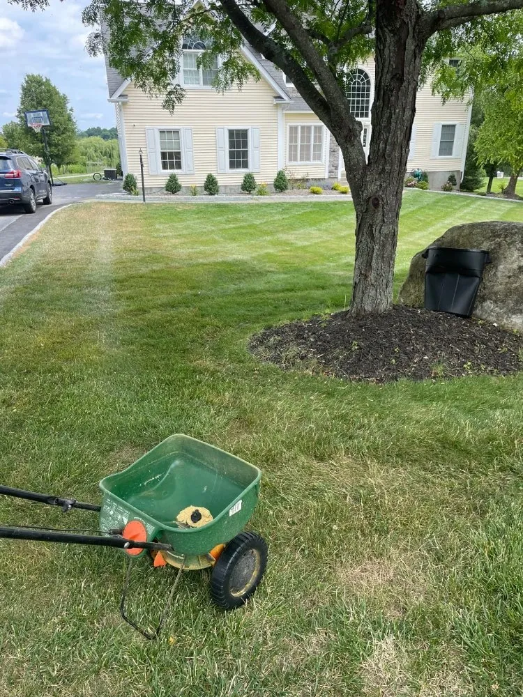 Custom landscape installation near you across Cleveland, TX - Martinez Landscaping
