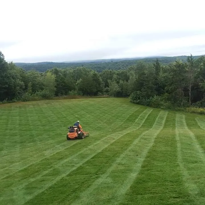 Expert yard maintenance experts serving Cleveland, TX - Martinez Landscaping