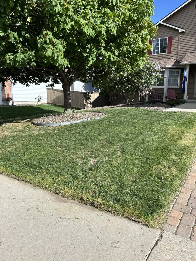 Affordable lawn care service experts serving Columbus, OH - Martinez Landscaping
