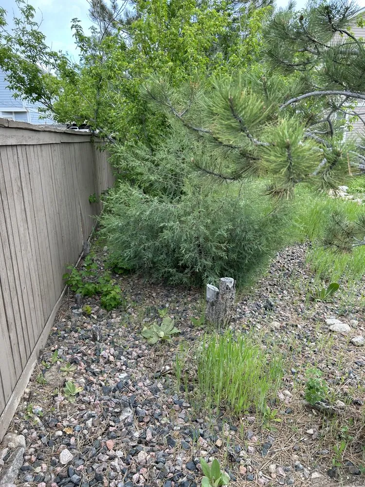 Custom lawn mowing service for homes in Columbus, OH by Martinez Landscaping