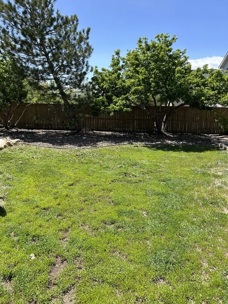 Local garden landscaping for year-round maintenance in Columbus, OH by Martinez Landscaping