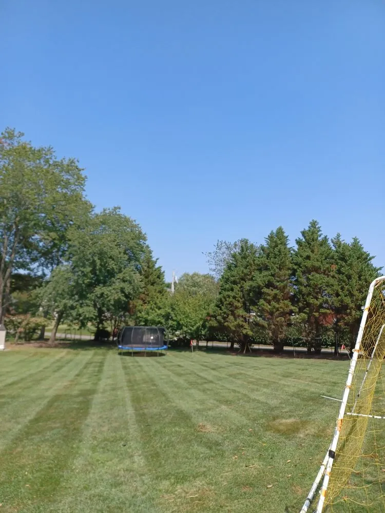 Top-rated landscape installation in Cookeville, TN by Martinez landscaping