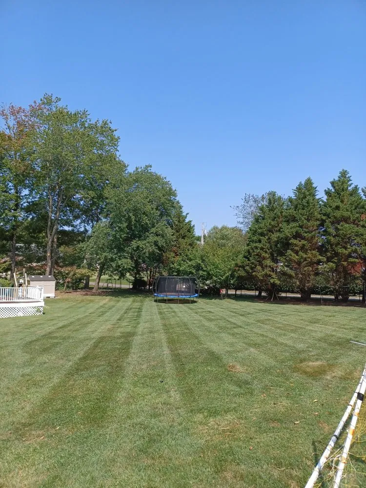 Affordable landscaping services in Cookeville, TN by Martinez landscaping