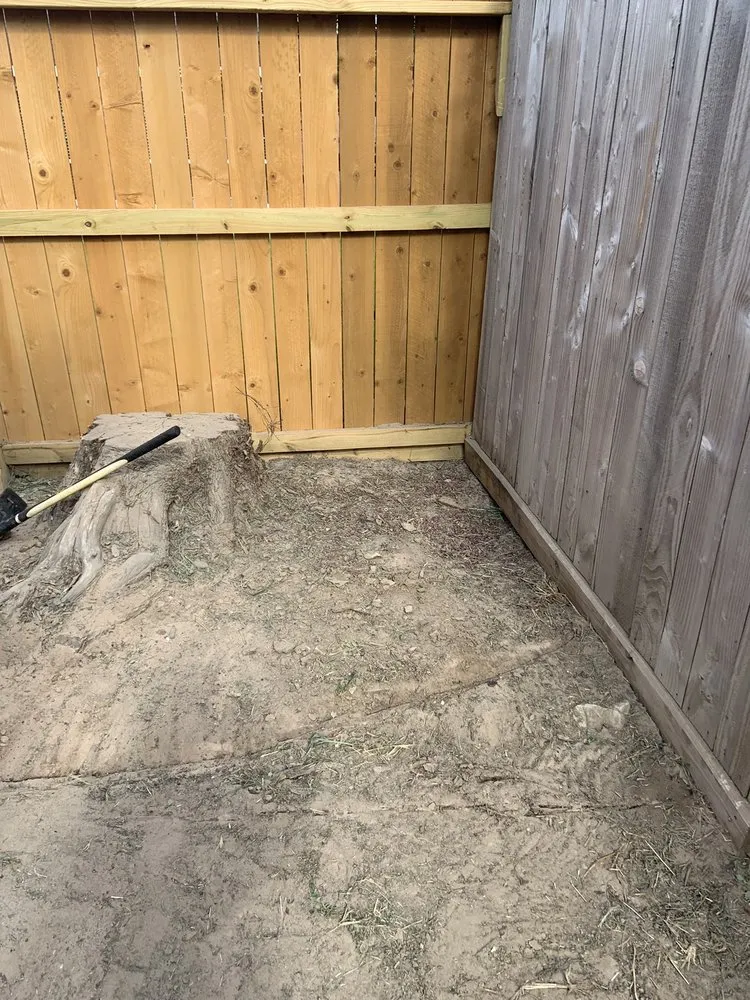 Top-rated yard cleanup service for outdoor upgrades in Cypress, TX by Martinez Landscaping