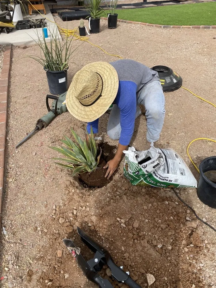 Affordable lawn care service near you in Rio Rico, AZ by Martinez Landscaping Designer