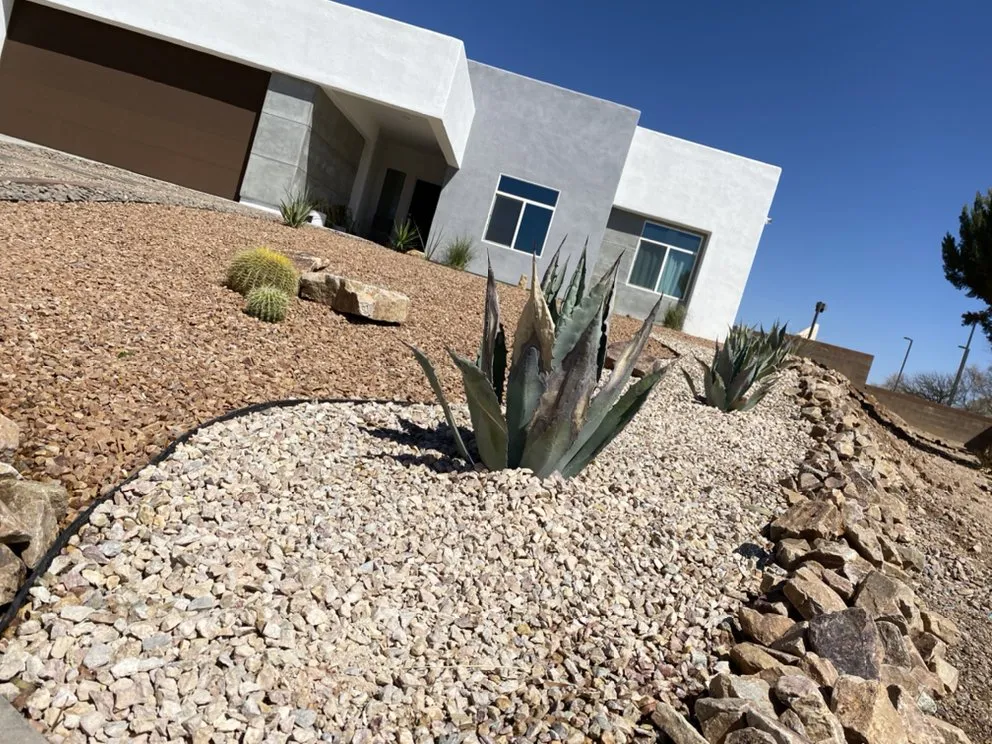Professional yard cleanup service in Rio Rico, AZ by Martinez Landscaping Designer