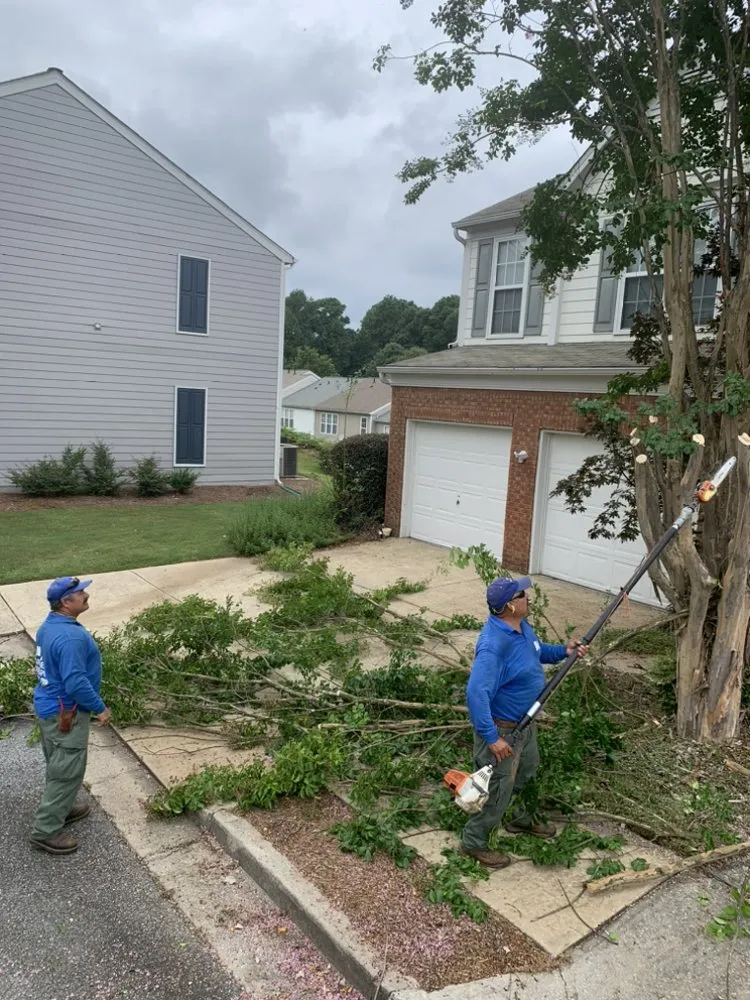Expert outdoor landscaping for beautiful yards across Duluth, GA - Martinez Landscaping