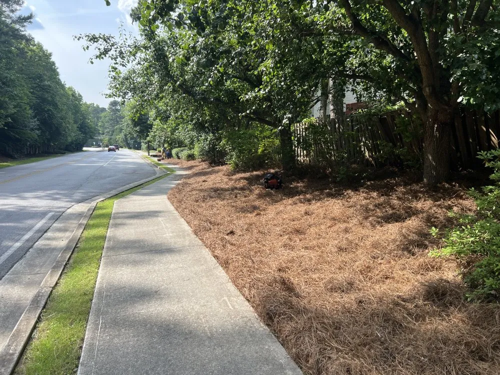 Top-rated yard cleanup service for residential properties across Duluth, GA - Martinez Landscaping