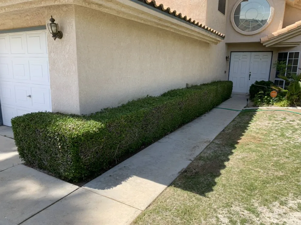 Trusted landscape installation with custom design across Palmdale, CA - Martinez Landscaping Gardening Services And More